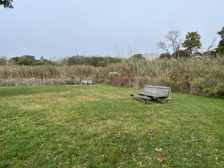 Open Space Committee