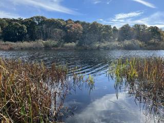 Open Space Committee