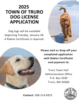 2025 Town of Truro Dog License Application Information