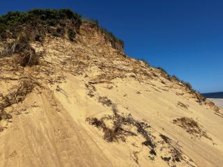 Longnook beach dune erosion 