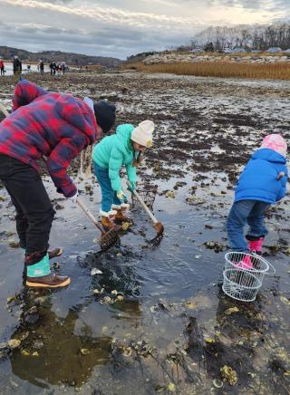 Clam season at Pamet has been extended until April 14, 2024!