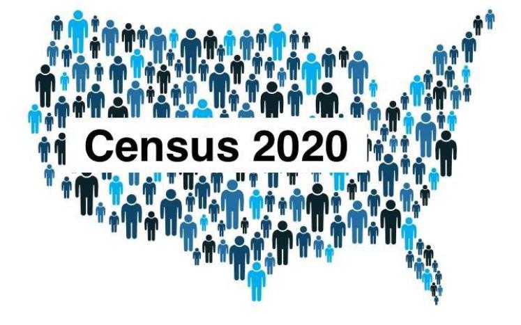 census icon