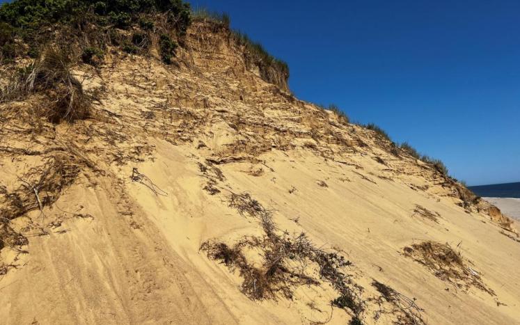 Longnook beach dune erosion