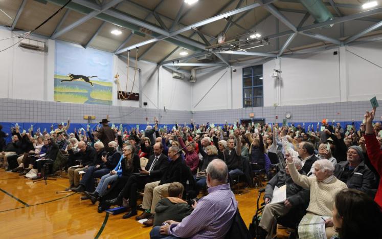 a photo of voters raising their cards at 2023 special town meeting
